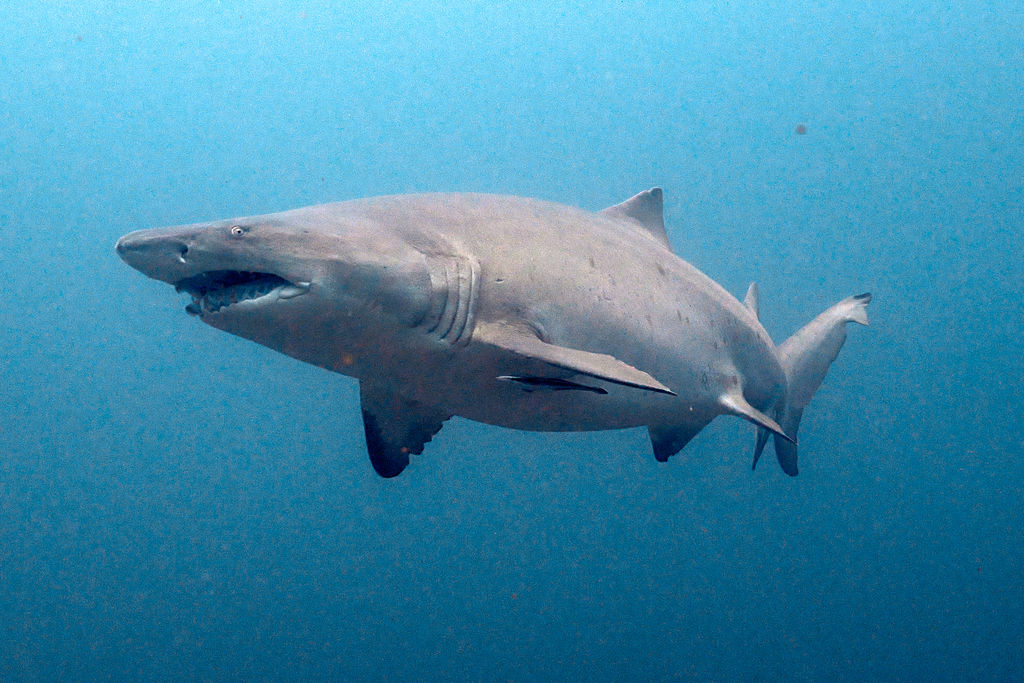 4ddd2e7f-1a49-4b76-bdcc-87edc1458000