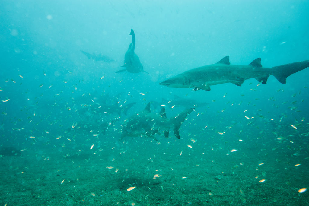 fb7ef6c9-6712-415c-bbd2-797412a05a16