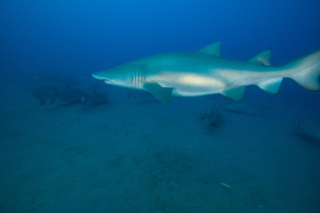 095234ca-afc6-4418-8d3c-8ac15072d7fb