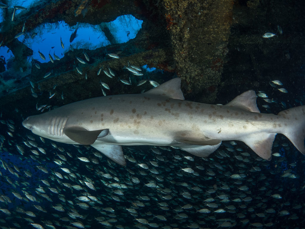 60f2a475-f29f-4a23-afdf-b045bbaf70e0