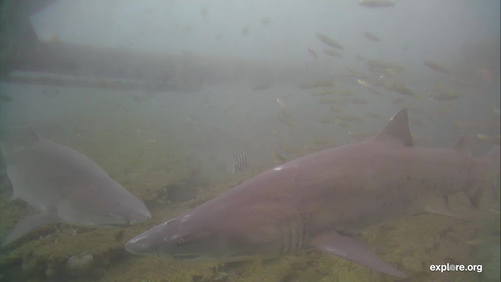 24a26327-4086-4316-bce6-28f35dbb064b