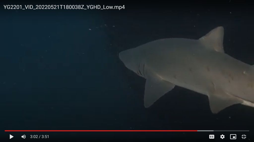 8097c497-7efa-4a3e-b507-180183a2d067