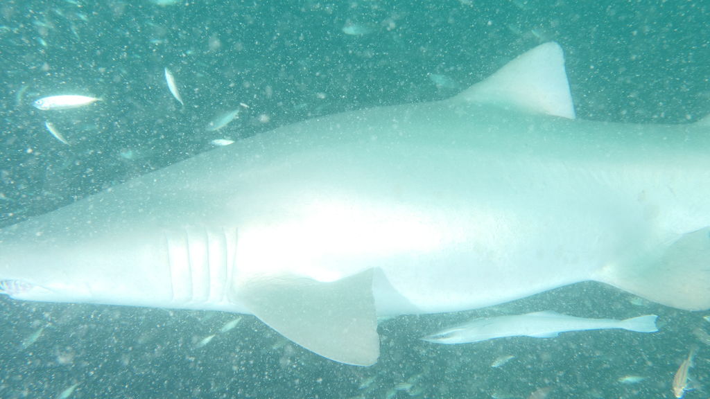 afaed0f6-68ba-45e9-bc6f-36a5bc311e55