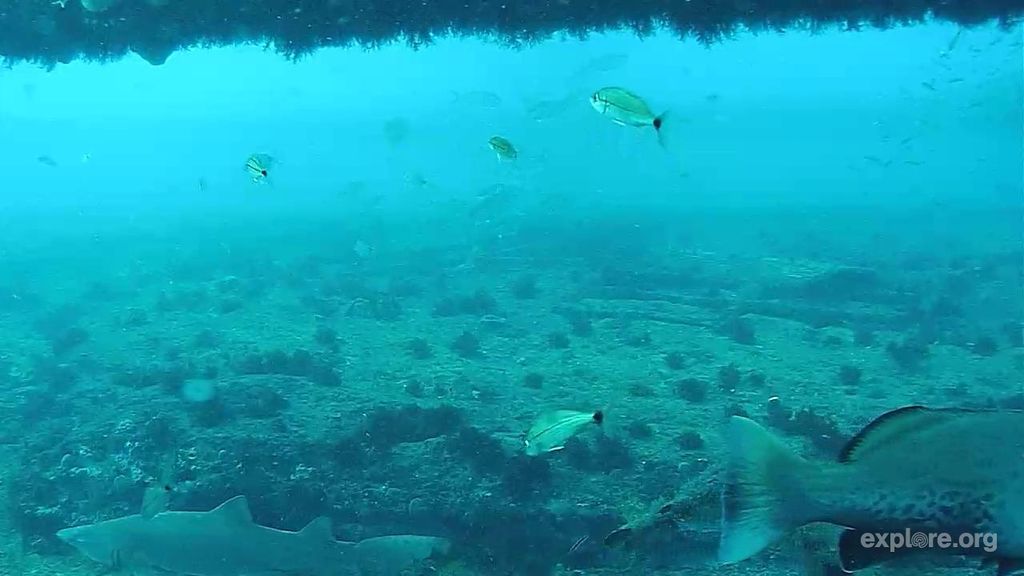 cea299af-d514-4f33-aa7e-c919f8fc6934