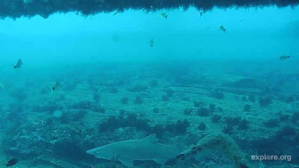 cea299af-d514-4f33-aa7e-c919f8fc6934