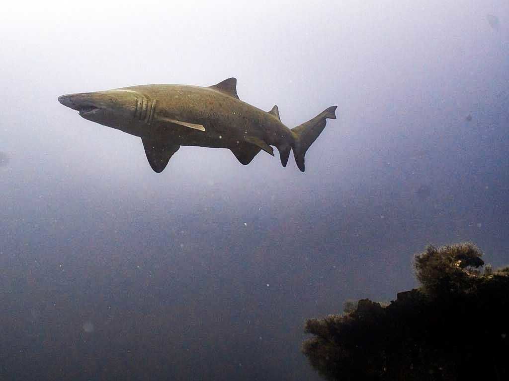 5c4abb13-1835-40bf-b6d8-b7ef20ea8ec9