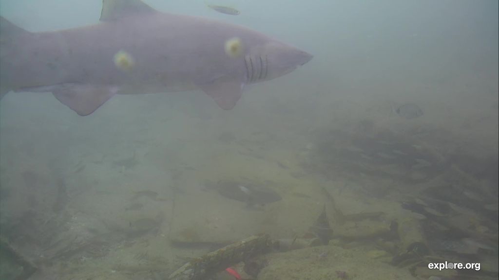 7a8db0b7-8300-443a-b837-a8d2a2b3b9e6