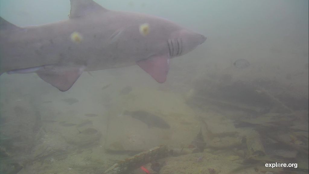 7a8db0b7-8300-443a-b837-a8d2a2b3b9e6