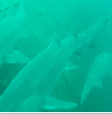 89c3f869-4353-4fe7-9709-b612547b6816