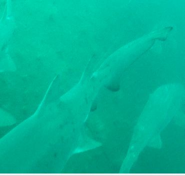 89c3f869-4353-4fe7-9709-b612547b6816