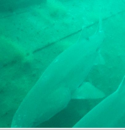 89c3f869-4353-4fe7-9709-b612547b6816