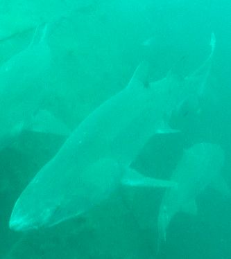 89c3f869-4353-4fe7-9709-b612547b6816