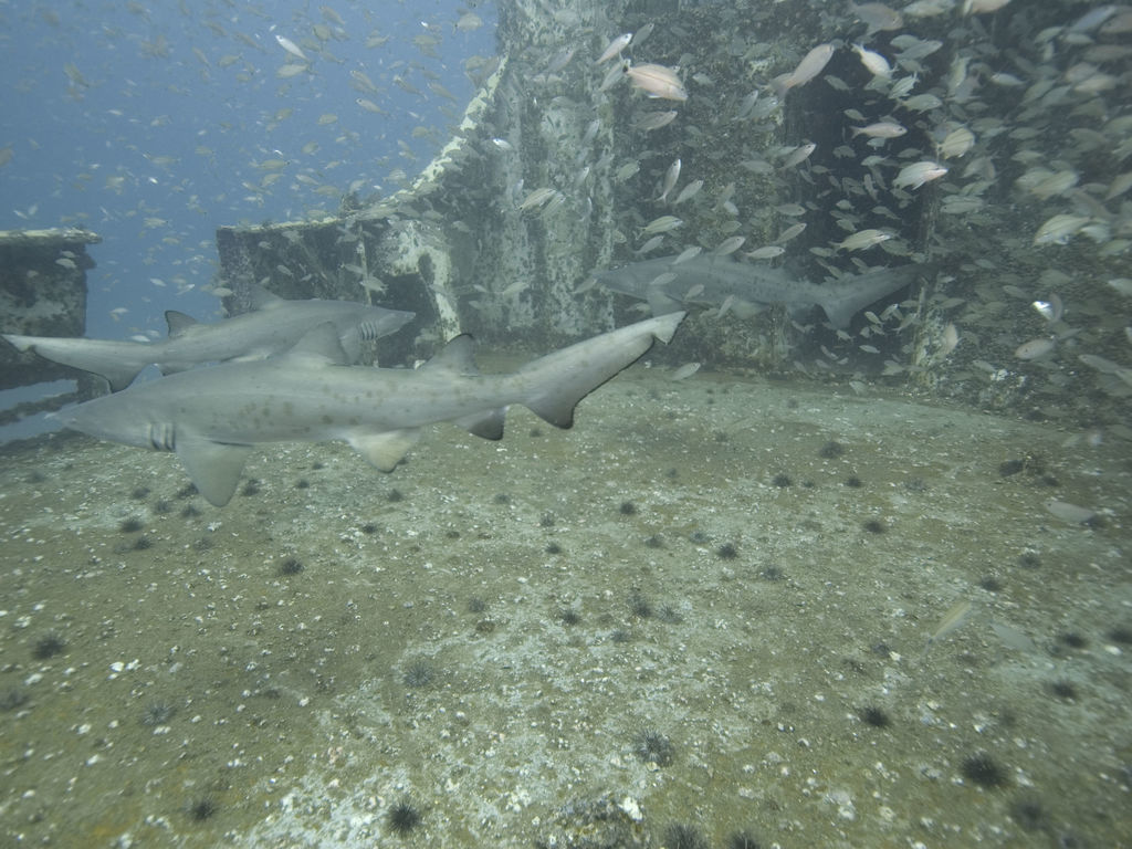 fa924399-147d-425e-af66-6dd5d0466215