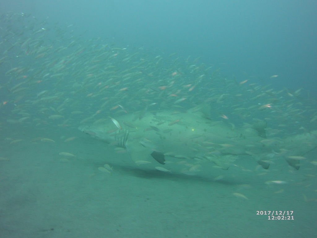 714f6c87-7f48-4b2b-a9cb-22e45f017f84