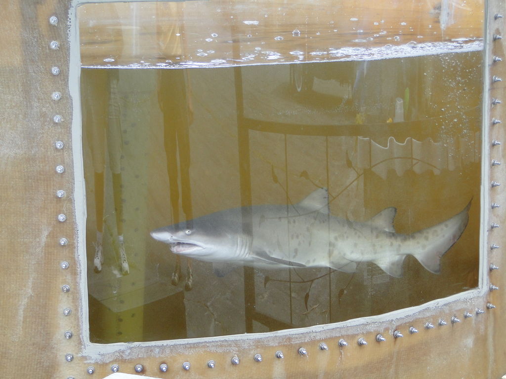 794cee50-3a08-4020-9269-2ccba6caefe1