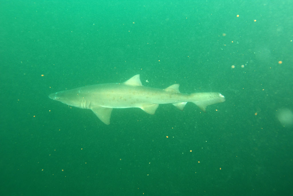 284ef259-29f4-45dd-8c96-d592d4d0db04