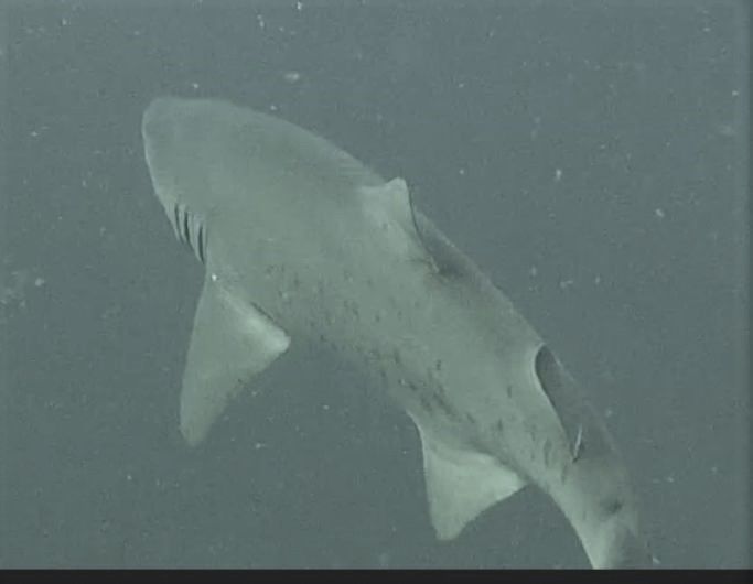 2ff850e1-c7ab-4128-b4ea-115e49c22d1c