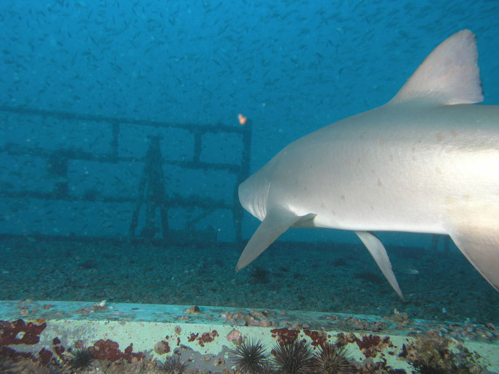 f385efee-0c21-41da-a640-6457f12f189a