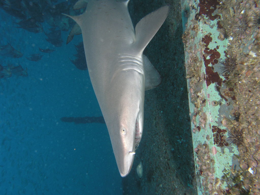 f385efee-0c21-41da-a640-6457f12f189a