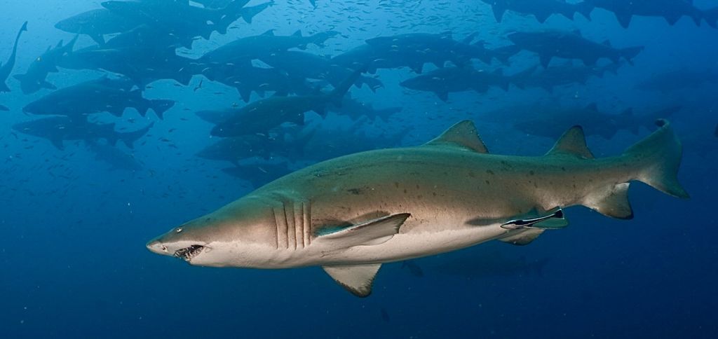 2f8e6ee1-3e75-4f7f-bcbe-1b0414e63346