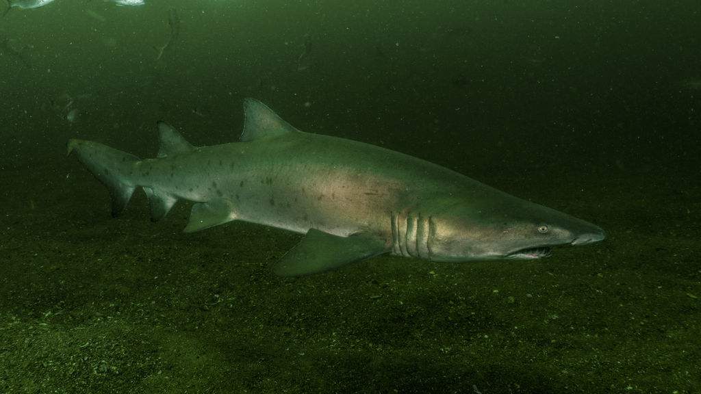 856f4f11-d443-4c87-82d7-faa3c1eeeab3