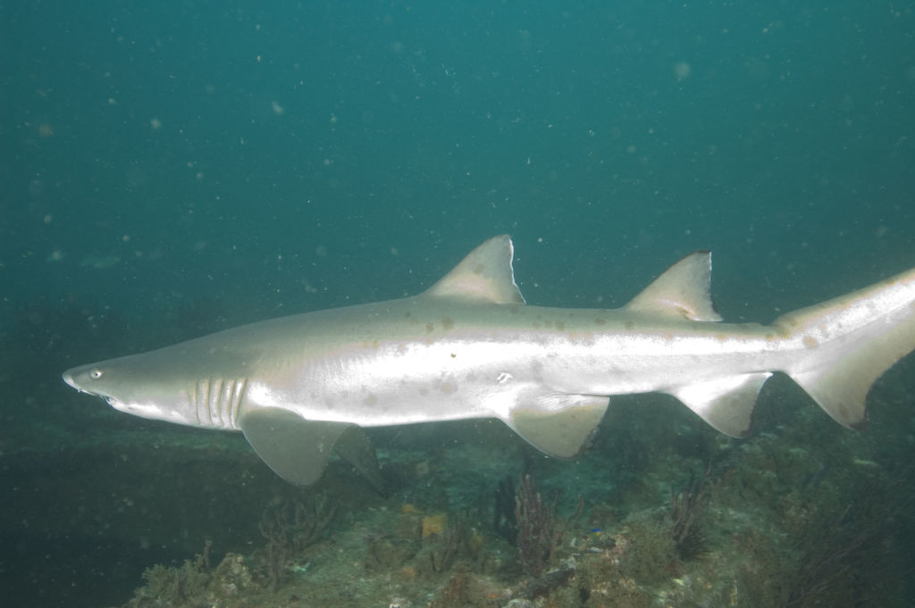 5360f5e6-3ee4-41a5-8471-2ebfecdd9296