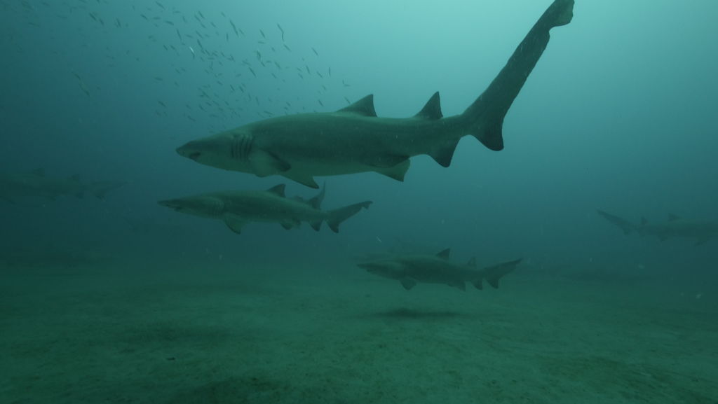 073b1fe9-6e68-49e5-9cc0-d70d3c04eb38