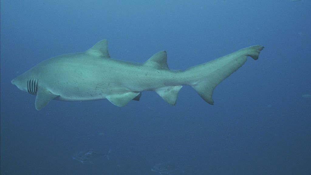 cdd522d8-86ee-4353-8360-ede41b5af201