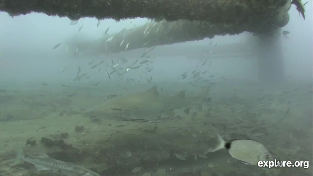 615471ef-3bae-4fe7-be06-2e1d4d897734