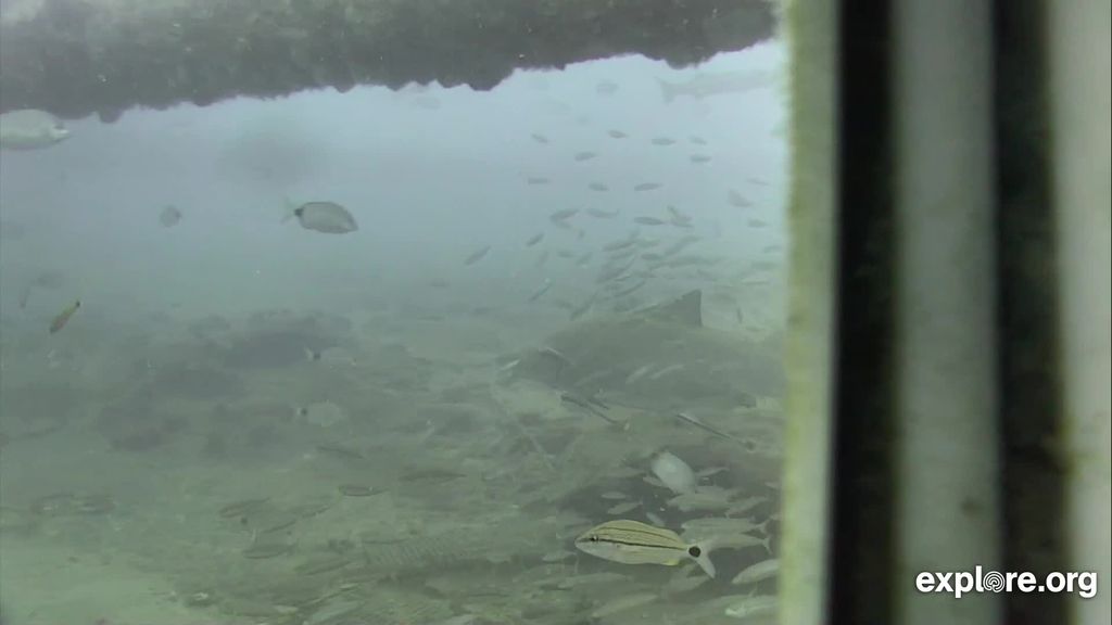 615471ef-3bae-4fe7-be06-2e1d4d897734