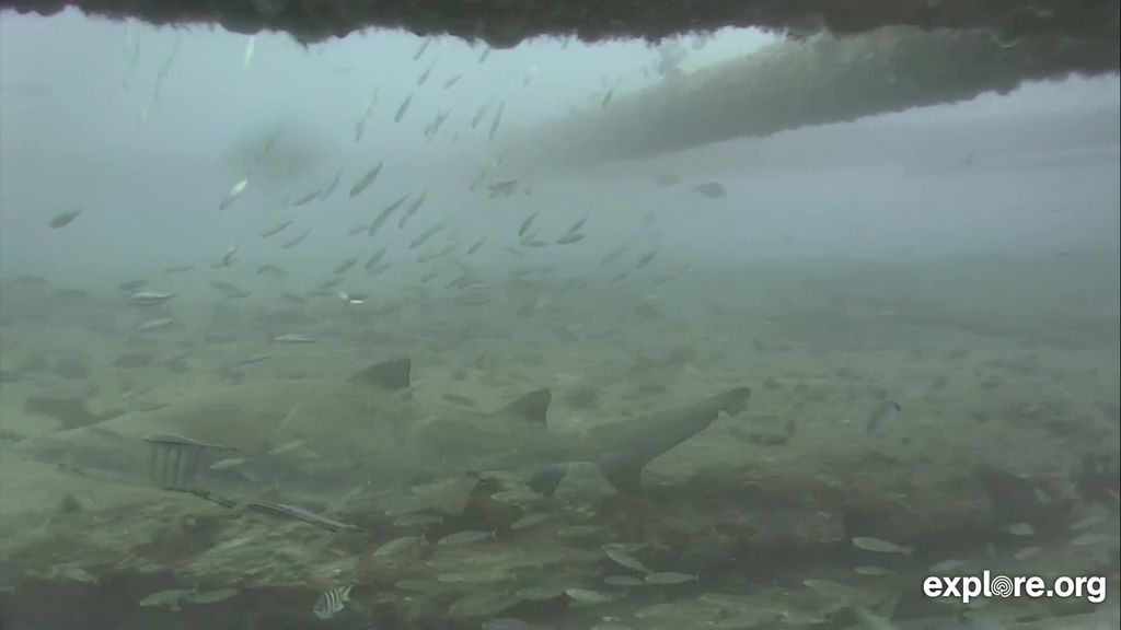 615471ef-3bae-4fe7-be06-2e1d4d897734