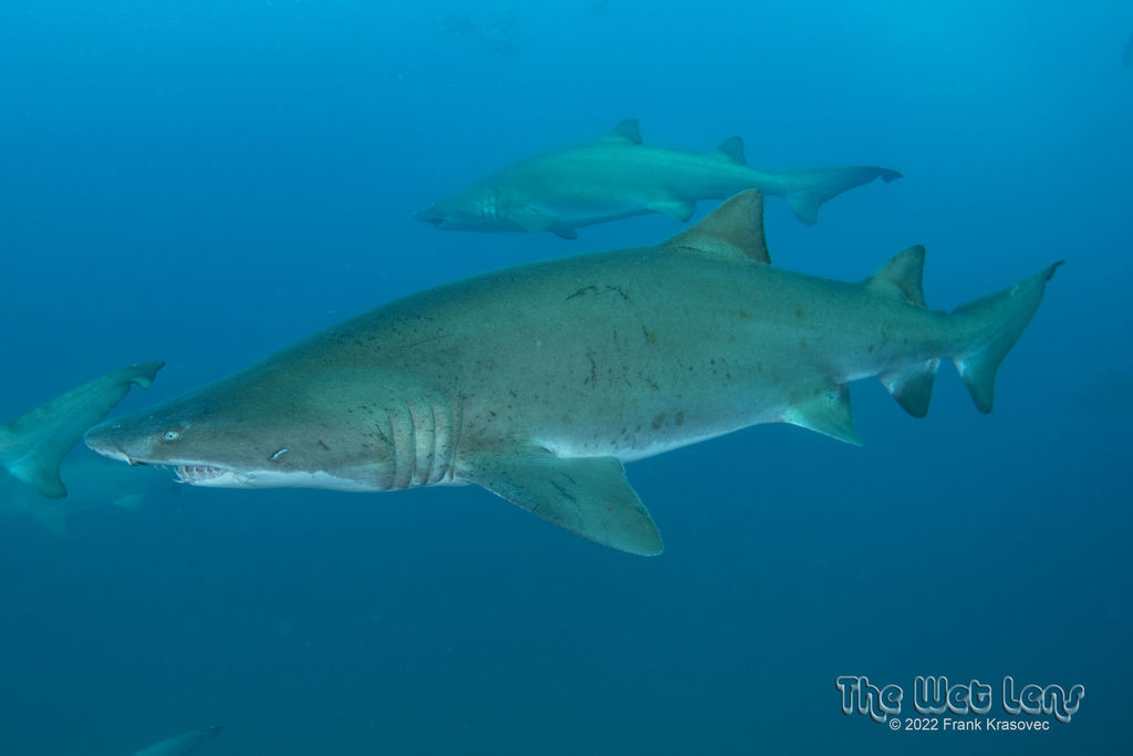 471be266-51ce-446a-8f59-d3b096047eee