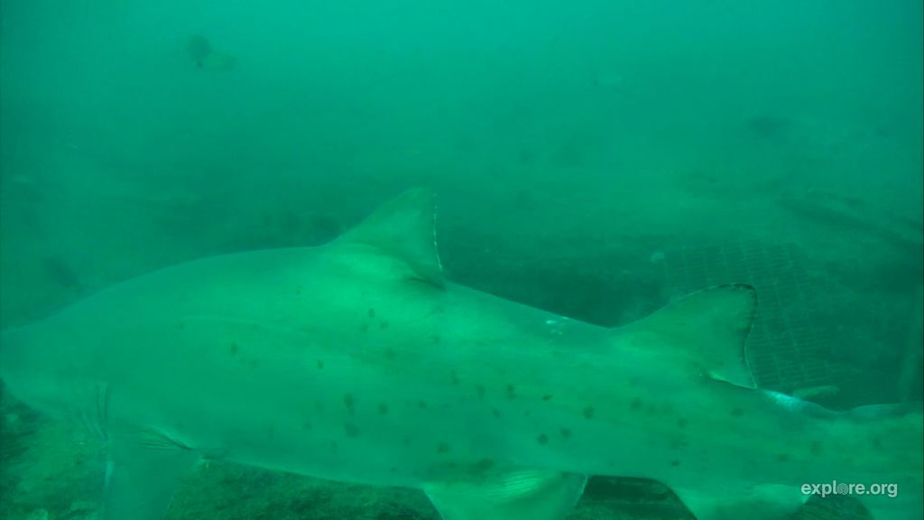 108bf0b7-ce6a-45a5-8f88-046901c6d9ff