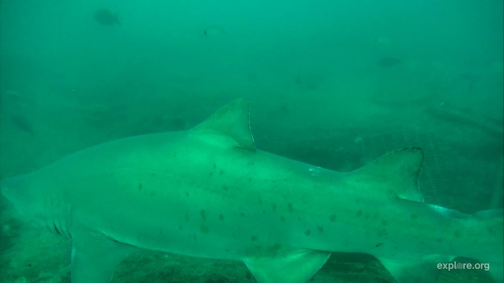 108bf0b7-ce6a-45a5-8f88-046901c6d9ff