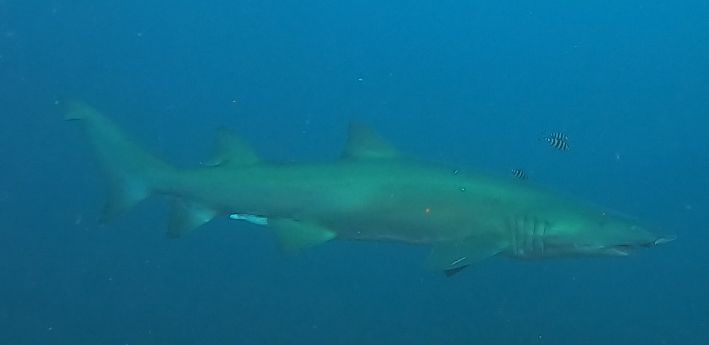 8ae39c62-cd1c-4bc8-a760-e3feef40b43a