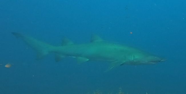 8ae39c62-cd1c-4bc8-a760-e3feef40b43a