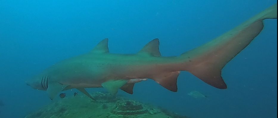 8ae39c62-cd1c-4bc8-a760-e3feef40b43a