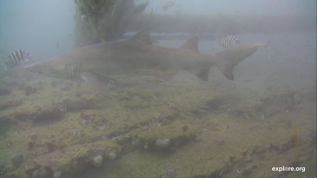 5919f280-b831-4416-a359-5349fcae019b