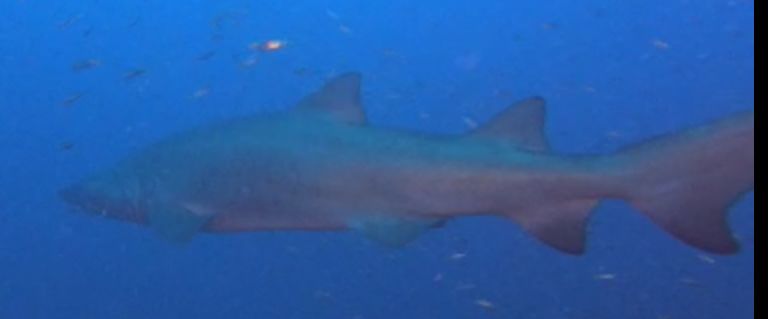 8d4d139c-2f75-4309-8523-7cd2bbf183c2