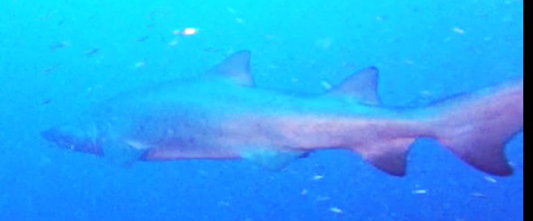 8d4d139c-2f75-4309-8523-7cd2bbf183c2