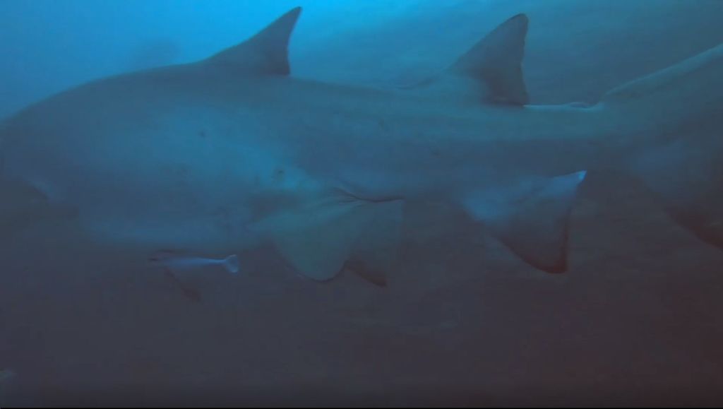 744b45b8-f942-46b4-b629-c5676c223d74