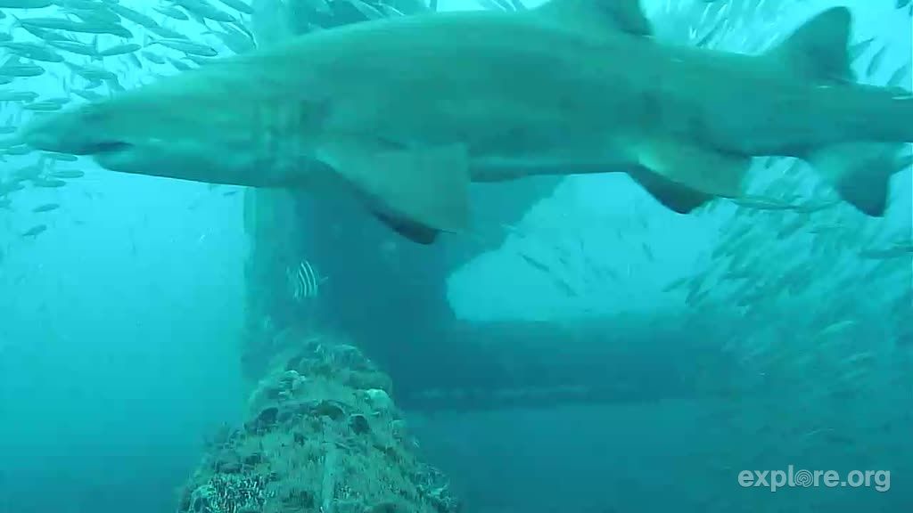 725ba80f-7fd8-430d-926c-07be2b9cf576