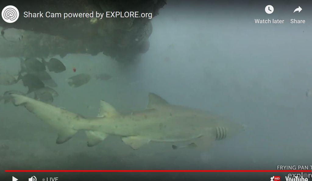 ac0eed1d-5bff-4718-9eeb-65f68cafa08a