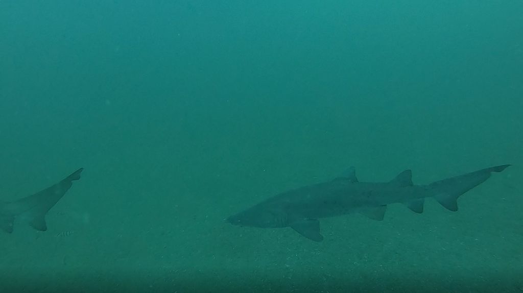 6336584c-e74b-4fca-be31-3846c3a32000