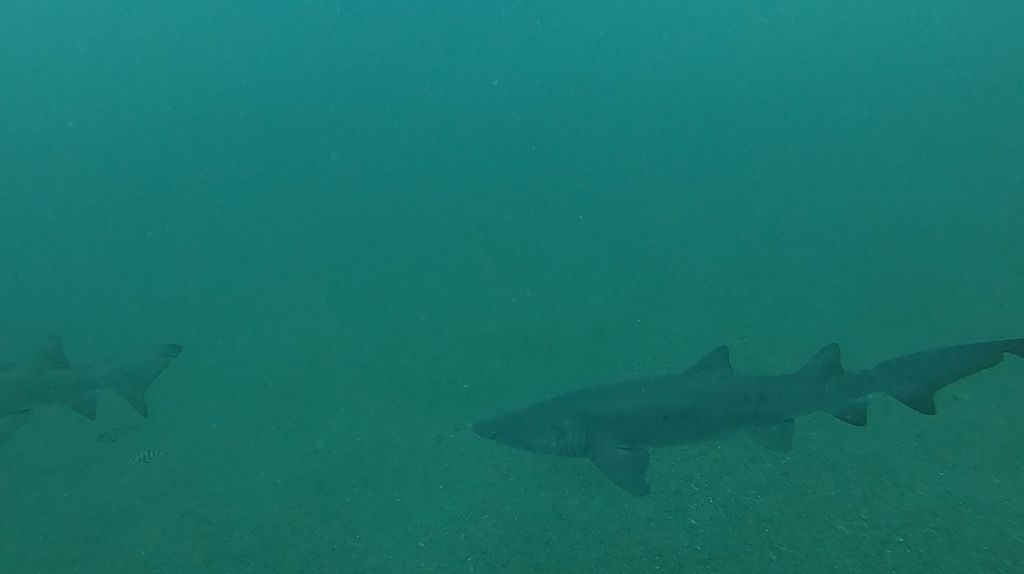 6336584c-e74b-4fca-be31-3846c3a32000