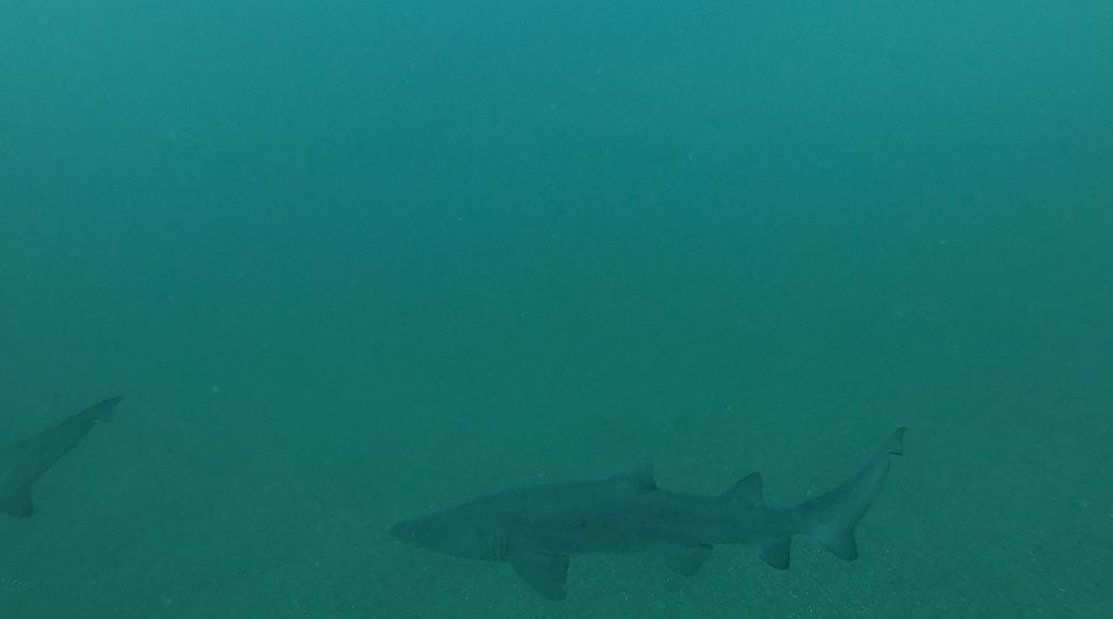 6336584c-e74b-4fca-be31-3846c3a32000