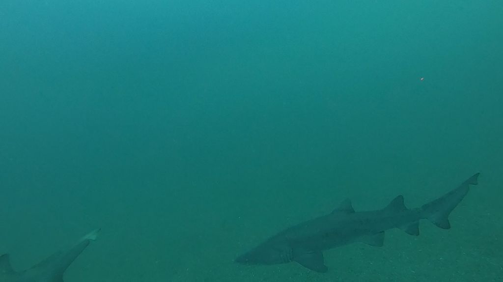 6336584c-e74b-4fca-be31-3846c3a32000