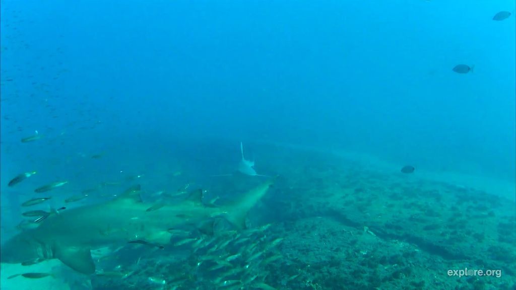 2efb973d-3b84-4688-8862-30d9113cb818