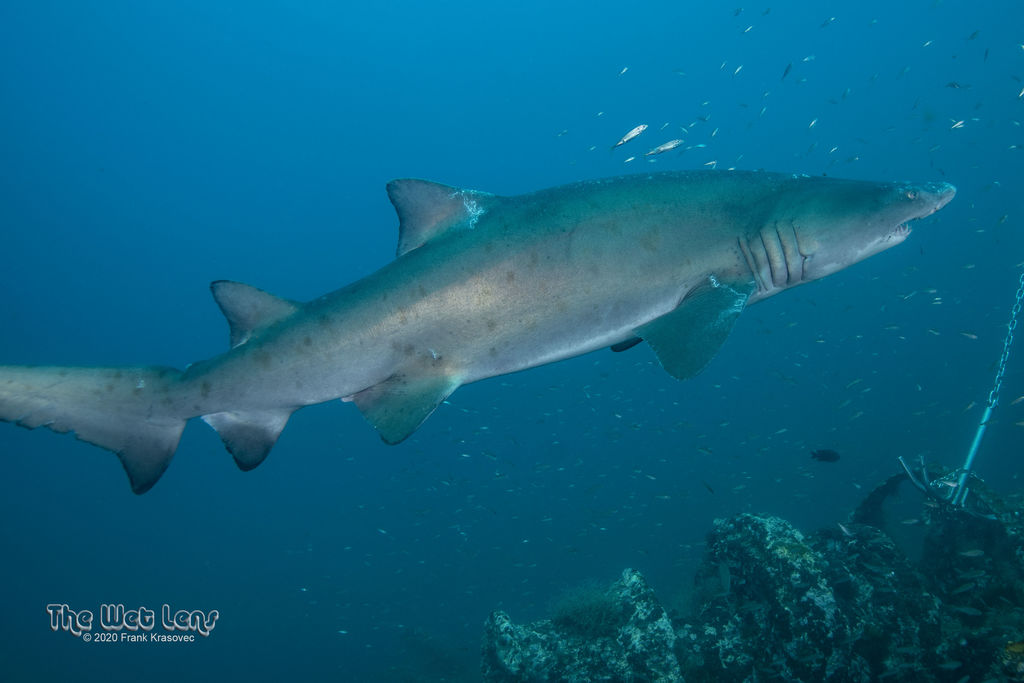 22c085ed-b3a1-4a3a-b14f-f74014bdd32e