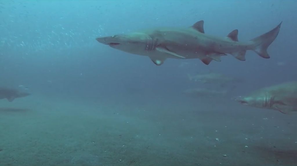 772a6378-09ff-4fe7-afa9-4e4b89054d74